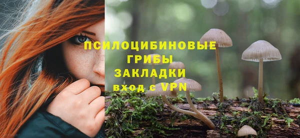 мдпв Сафоново