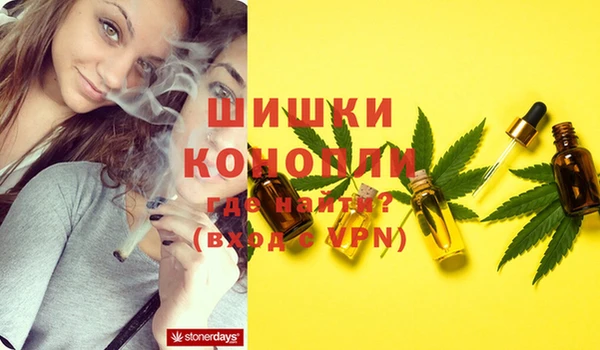 мдпв Сафоново